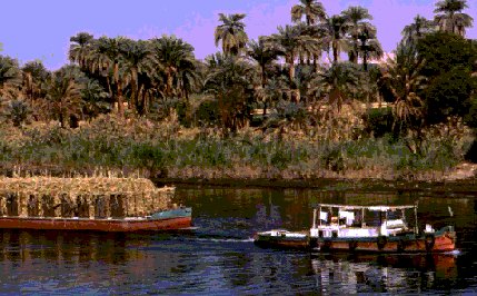 nile.jpg (45077 bytes)
